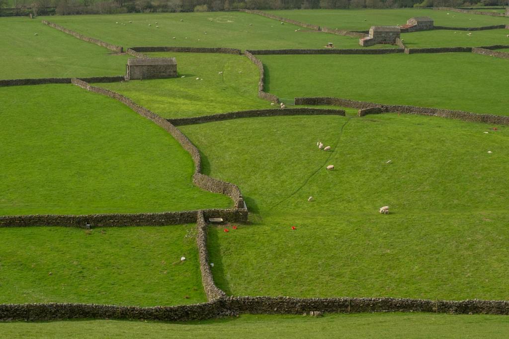 US-China trade war: Is Donald Trump sticking to 100% tariffs on China plan from November 1? What he said – The Times of India