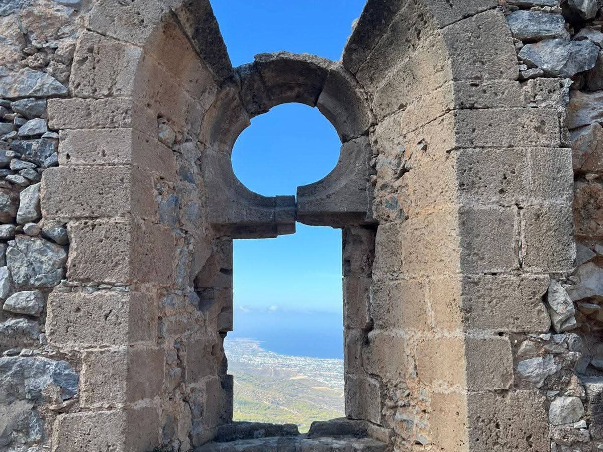 Sane or Insane? no.4-“Wag the&nbsp;Dog?”